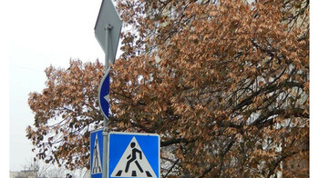 В Казахстане меняют ответственность за нарушение правил дорожного движения с 13 марта