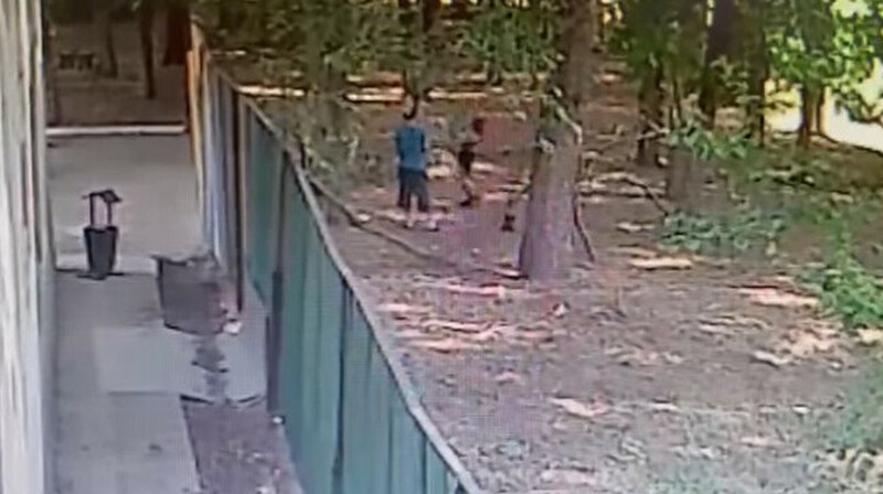 Видео нападения собак на 10-летнего ребенка появилось в Интернете
