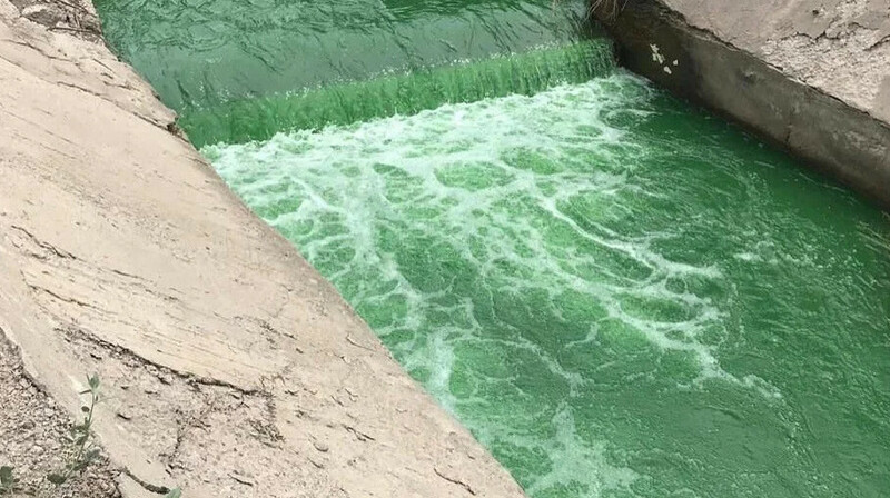 Экологи проверят реку Каргалы в Алматы после появления зеленой воды