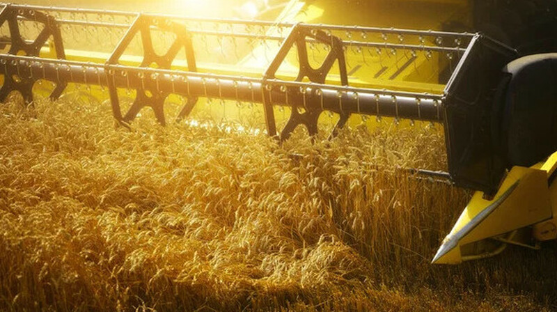 Казахстан собрал рекордный урожай -  1 млн тонн бобовых и 4,3 млн масличных