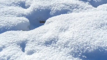 Страну накроет погодная турбулентность: осадки, гололёд и перепады температур