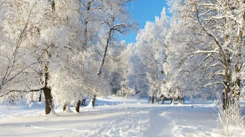Морозы до -15 прогнозируют синоптики по Казахстану