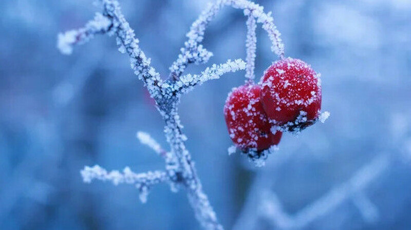 35-градусные морозы ожидаются в Казахстане