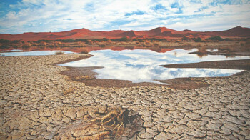 Токаев предложил создать Международную водную организацию в структуре ООН