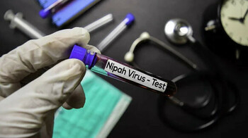 Кыргызстан ограничил ввоз скота из Индии из-за вируса Нипах