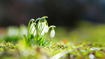 До +30°С: какой будет погода в Астане, Алматы и Шымкенте на ближайшие три дня